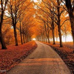 Jesienny krajobraz (fot. Lars Van Der Goor / boredpanda.com)